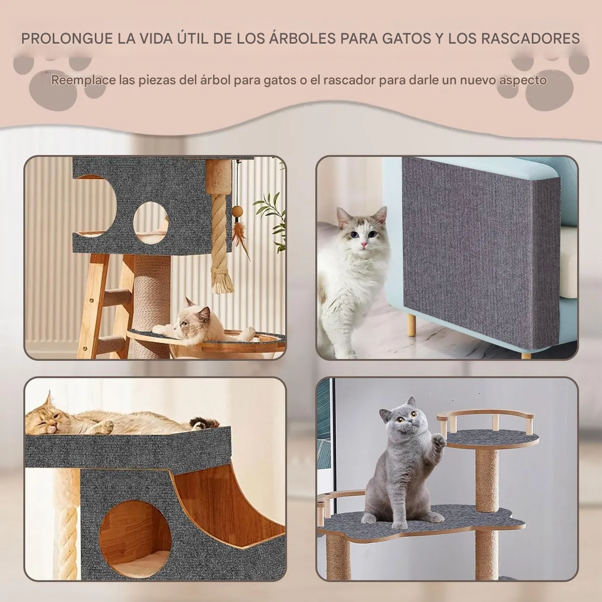 Alfombra Resistente A Los Aranazos