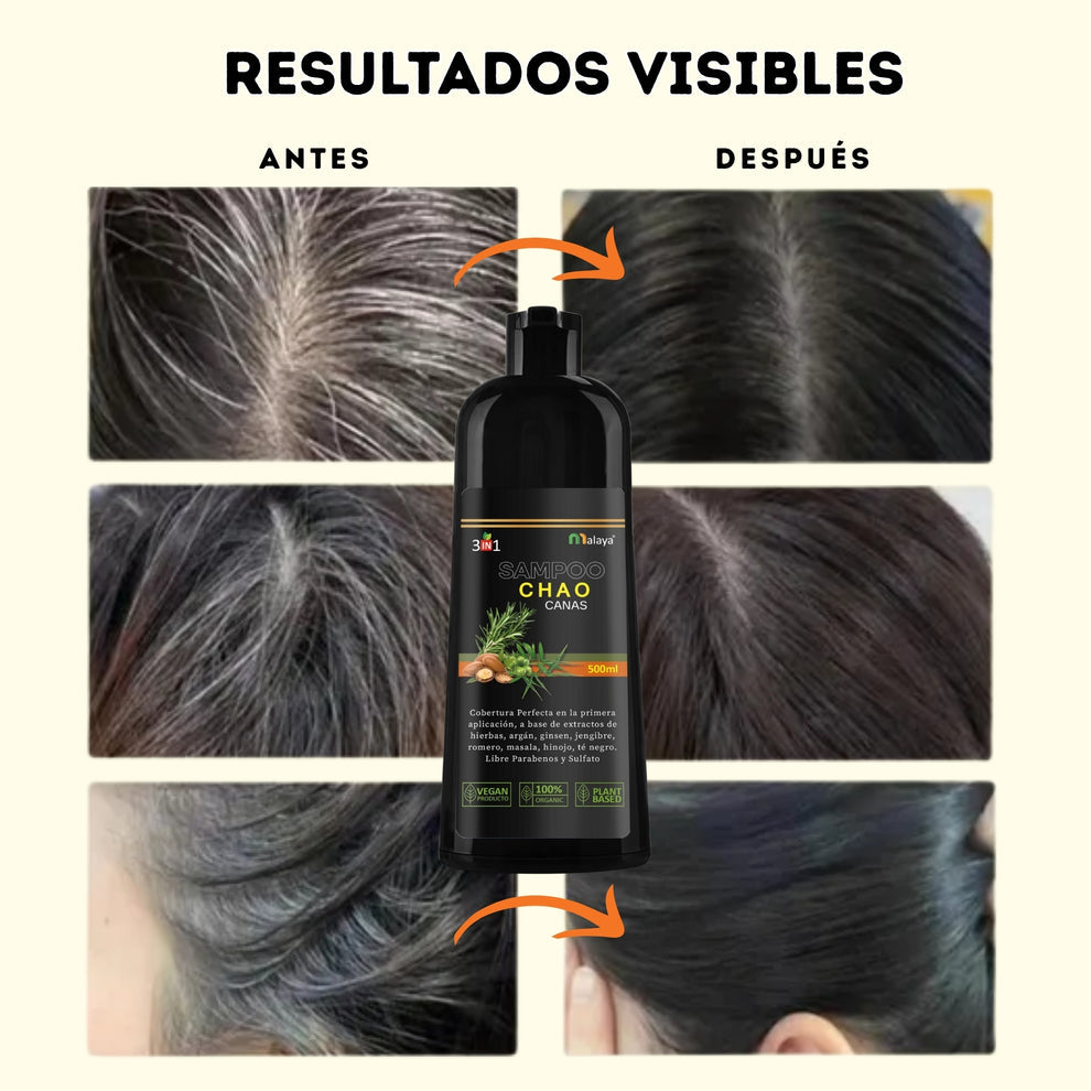 Shampoo Chao Canas 3 en 1 +Tratamiento + Envio Gratis