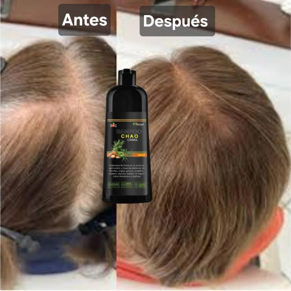 Shampoo Chao Canas 3 en 1 +Tratamiento + Envio Gratis